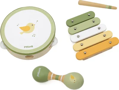 Produktbild von Musikinstrumentensatz VIGA PolarB mit Vogel