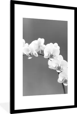 Produktbild von MuchoWow® Gerahmtes Poster Orchidee - Blumen - Pflanze - Weiß - Lila 60x90 cm - Poster mit Schwarzem Bilderrahmen Wandposter Rahmen Foto Bilder - Dekoration - Wandposter Wohnzimmer - Hochwertig
