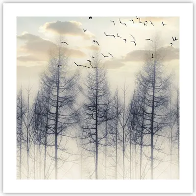Produktbild von Poster - Poster ohne Rahmen - Bäume Vögel Himmel - 50x50 cm - Wand Bild - Wanddeko - Wandbilder - Kunstposter - Wandposter - Bilder - Kunstdruck - Wanddekoration - Wandbild - P2XAC50x50-4546