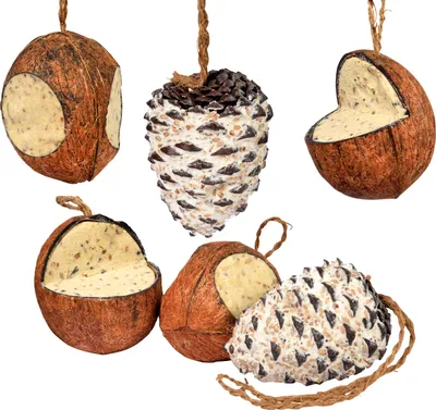 Produktbild von dobar Vogelfutter-Mix zum Aufhängen, gefüllte Kokosnüsse und Pinienzapfen, 6-teiliges Fettfutter-Set