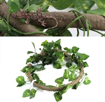 Produktbild von Flexible Kletteräste, Natürliche Rattanranken, mit Saugnäpfen, für Eidechsen, Dschungel Terrarium Dekoration