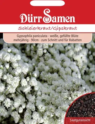 Zdjęcie produktu dla Dürr-Samen - Gypsophila wypełniona białymi kwiatami bylina 90 cm - Nasiona - 0756