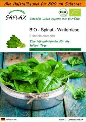 Produktbild von SAFLAX - Garden in the Bag - BIO - Spinat - Winterriese - 250 Samen - Mit Anzuchtsubstrat im praktischen, selbst aufstellenden Beutel - Spinacia oleracea