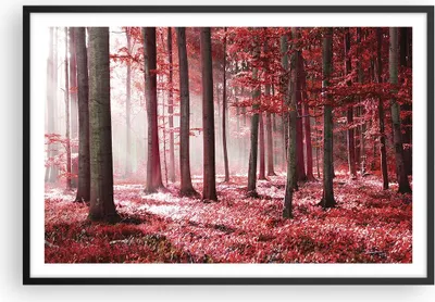 Produktbild von Gerahmtes Poster - Schwarzer Rahmen - Wald Rot Bäume - 91,5x61 cm - Wand Bild - Wanddeko - Wandbilder - Kunstposter - Wandposter - Bilderrahmen - Bilder - Kunstdruck - Wanddekoration - P2BAA91x61-4944