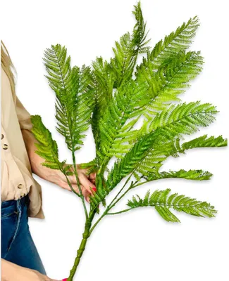 Produktbild von Gummifarn, grün - Farnblätterstrauß 73 cm