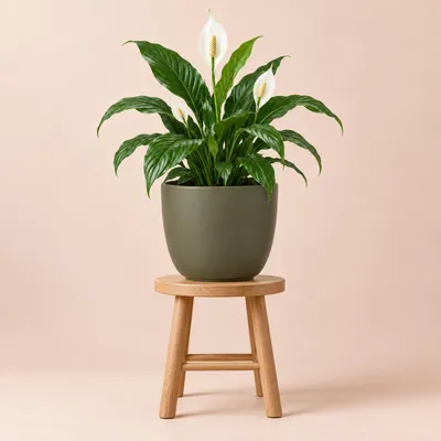 Produktbild von Mica Decorations Blumentopf - grun - Keramik - 22 x 20 cm