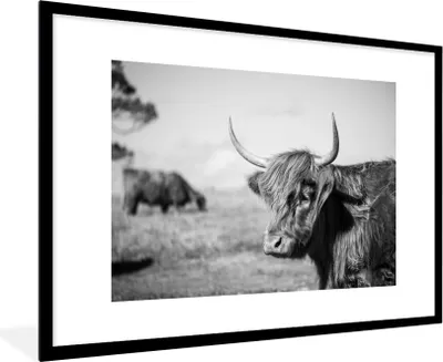 Produktbild von MuchoWow® MuchoWow® Gerahmtes Poster Schottisches Hochlandrind - Tiere - Schwarz - Weiß 90x60 cm - Poster mit zchwarzem Bilderrahmen - Wanddekoration - Fotos