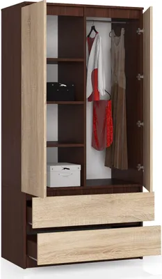 Image de BDW, Armoire 2 portes, 2 tiroirs, 180x90x51 cm, wengé / chêne soonia
