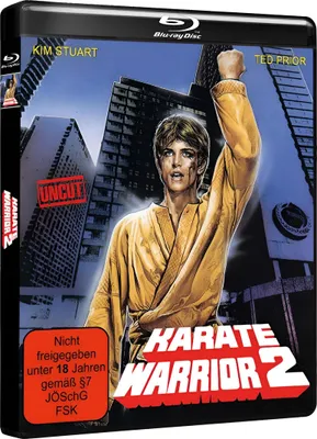 Produktbild von Karate Warrior 2 - Cover A - Hd-premiere! - 375 Media - (Blu-ray Video / Eastern)