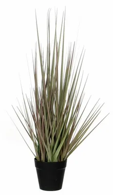 Produktbild von Mica Decorations Kunstliche Pflanze - Ziergras - grun/violett - H53 x T30 cm