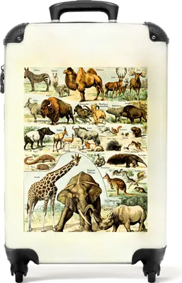 Obrázok produktu pre NoBoringSuitcases.com® Kufre na kolieskach Malé cestovné kufre na kolieskach so 4 kolieskami - Vintage - Wildlife - Safari - Illustration - Art - Cabin Size < 55x40x23 cm & 55x40x20 cm - Foto kufor - Cabin Suitcase - Board LuggageKufr na kolieskach 55x35x20 cm, 36L,
