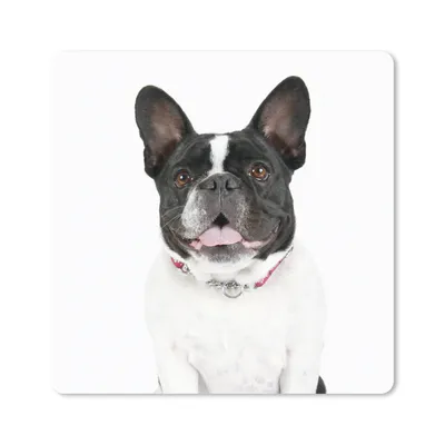 Produktbild von MuchoWow® Mauspad Mousepad Französische Bulldogge - Schwarz - Weiß 20x20 cm - Mousepads - Maus Mat - Pad - Mausunterlage - Desk Mat - Bureauartikeln