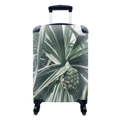 Produktbild von MuchoWow® Koffer Handgepäck Trolley Rollkoffer Kleine Reisekoffer mit 4 Rollen - Kaktus - Grün - Tropisch - Cabin Size < 55x40x23 cm & 55x40x20 cm - Fotokoffer - Kabinenkoffer - Boardgepäck - Reise-Box - Reisekoffer - Reisegepäck - Koffer mit Bild - Trolley für Kinder
