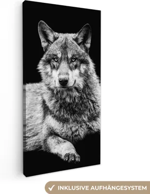 Obrázok produktu pre MuchoWow® - Plátno - Divoká zver - Vlk - Čierna - Biela, nástenný obraz, nástenné dekorácie obrazy obývacia izba, 40x80cm