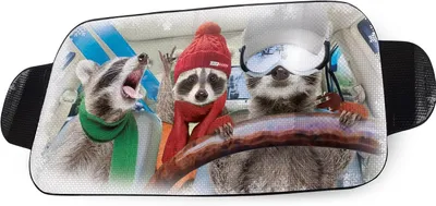 Productafbeelding van Cars Windscreen cover for winter raccoon