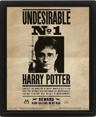 Produktbild von Harry Potter - Gerahmtes Poster, 3D PM3540 (3,9 cm x 28,4 cm x 23,3 cm) (Schwarz/Beige)