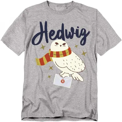 Productafbeelding van Harry Potter - "Hogwarts Brief" T-shirt voor heren/dames, uni model, TV43078 (5XL) (Sport Heide)