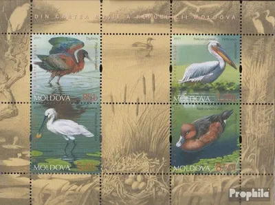 Produktbild von Briefmarken Moldawien 2011 Mi Block56 (kompl.Ausg.) postfrisch Säugetiere und Vögel