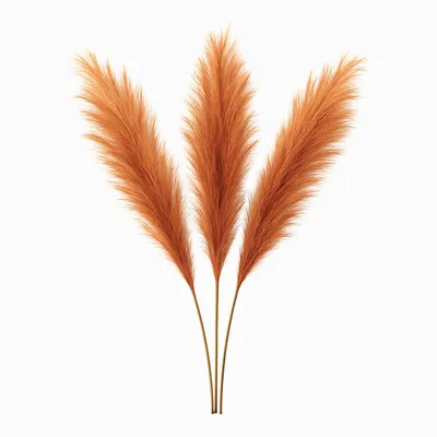 Produktbild von Layba Künstliches Pampasgras Deko in Terracotta Boho - 3 Stück 100cm, Ideal für Hochzeitsdeko, Wohnzimmer & Schlafzimmer