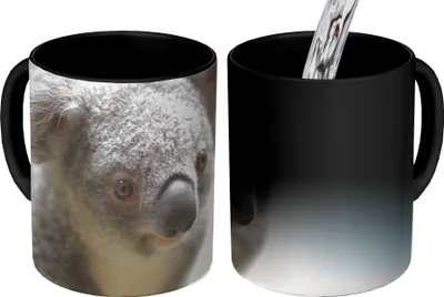 Obrázek produktu pro MuchoWow® Kouzelný pohár Koala - Zblízka - Zvíře - Děti - Chlapci - Dívky 350 ml Barva měnící se pohár Dárkový nápad - foto hrnek