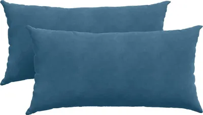 Image de vidaXL Coussins de canapé 2 pièces bleu 80 x 40 cm tissu velours côtelé