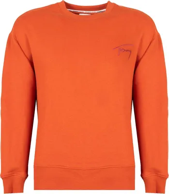 Immagine prodotto di Tommy Hilfiger Mikiny DM0DM12373, Taglia: 169