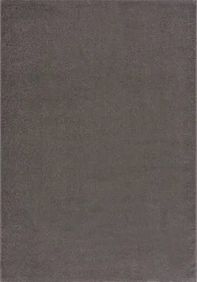 Produktbild von Teppich UNI 9500 Grau 140x200 cm strapazierfähig, pflegeleicht und für Fußbodenheizung geeignet