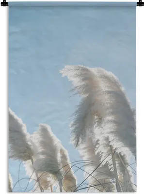 Produktbild von MuchoWow® Wandteppich Wandbehang Himmel - Gras - Pampasgras 60x90 cm Tapisserie Dekoration Wandtuch - Foto-Teppich - Abwaschbar