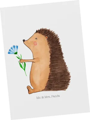 Produktbild von Mr. & Mrs. Panda Postkarte Igel Blumen - Weiß - Geschenk, Ansichtskarten, krank, Ansichtskarte, Gute Besserung, Lustige Sprüche, Genesungswünsche, Krankenhaus, Grußkarte