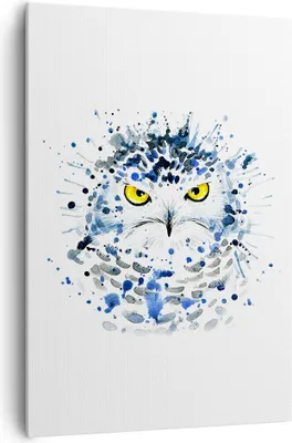 Produktbild von Bild auf Leinwand - Leinwandbild - Einteilig - Mode Design Eule Aquarell - 70x100cm - Wand Bild - Wanddeko - Wandbilder - Leinwanddruck - Wanddekoration - Leinwand bilder - Wandbild - PA70x100-2838