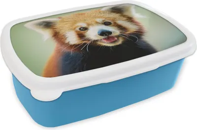 Obrázok produktu pre KitchenYeah® Lunchbox Box na desiatu 17x11 cm Červená panda - oranžová - čierna Detský box na desiatu - obed - plastový - plechovka na chlieb - sendvičový box - box na desiatu pre deti