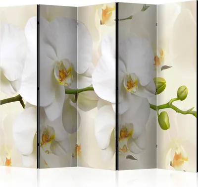 Zdjęcie produktu dla Akustyczna ścianka działowa Orchidea Ekran fotograficzny 225x172 cm drukowany po obu stronach na włókninie Akustyczna piankowa ścianka działowa Hiszpańska ściana Ekran prywatności Domowe biuro Kwiaty Natura Botanika b-B-0337-z-c