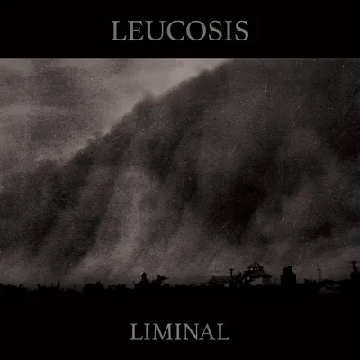 Produktbild von Leukose - Liminal Vinyl