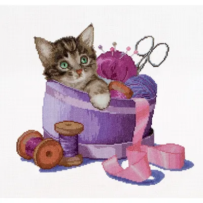 Image de Thea Gouverneur Kit de broderie au point de croix "Kätzchen Aida", modèle à compter, 31x30cm