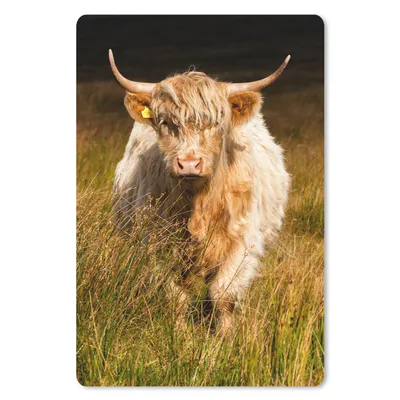 Produktbild von MuchoWow® Mauspad Mousepad Schottische Highlander - Licht - Gras - Tiere 18x27 cm - Mousepads - Maus Mat - Pad - Mausunterlage