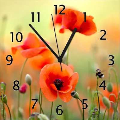 Produktbild von Wallario Design Wanduhr Mohnblumenblüten aus Echtglas, Größe 30 x 30 cm