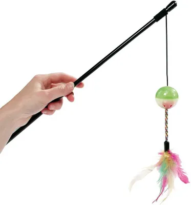 Image de Canne À Pêche Pour Chats Avec Balle Lumineuse Et Plumes