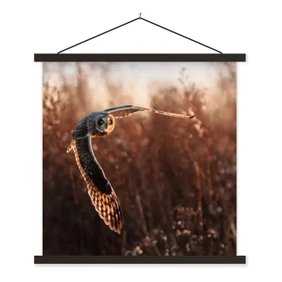 Produktbild von MuchoWow® Textilposter Vogel - Eule - Sonnenuntergang - Natur 90x90 cm mit schwarzem Rahmen - Magnetisches