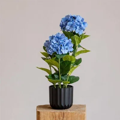 Produktbild von Kunstliche Hortensie Pflanze blau in Topf