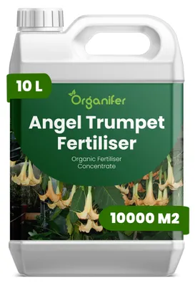 Zdjęcie produktu dla Engelstrompete – nawóz płynny 10 l – 3-4-3 NPK – nawóz płynny do roślin kwitnących – zapewnia bujne kwitnienie i silny system korzeniowy – wspomaga wzrost łodyg i witalność – Organifer