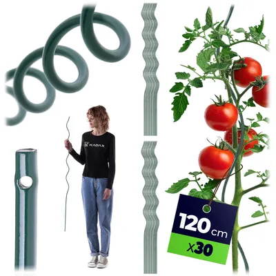 Zdjęcie produktu dla KADAX – spiralne paliki do pomidorów 120 cm x 6 mm, zestaw 30 sztuk, paliki spiralne ze stali z powłoką z tworzywa sztucznego, paliki do pomidorów, podpory do pomidorów i roślin pnących, paliki do roślin