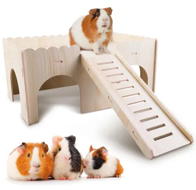 Zdjęcie produktu dla Domek dla świnki morskiej z pochylnią - 38 x 24 x 24 cm - Drewno lite - 4 wejścia