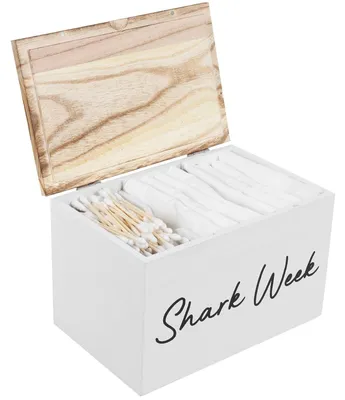 Obrázok produktu pre Drevený organizér s vekom, 20 × 13 × 13 cm