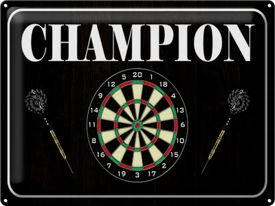 Produktbild von Blechschild Darts Champion, 40 x 30 cm, Blechschilder Spruch Sport Hobby
