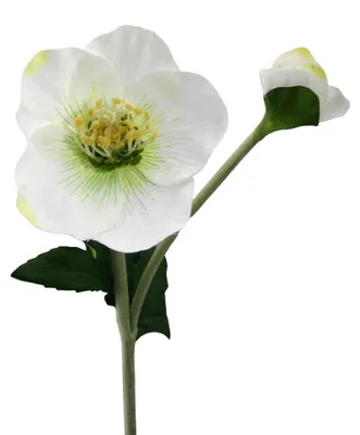 Produktbild von Kunstblume CHRISTROSE Schneerose mit Blüte und Knospe. Ca 44cm.