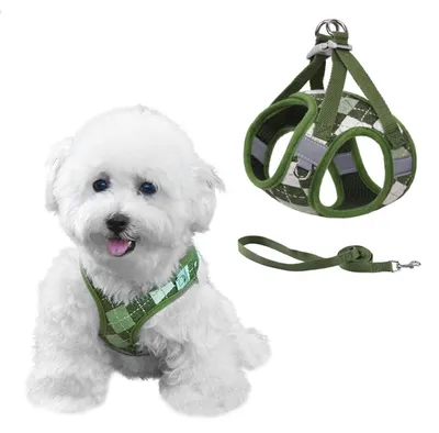 Immagine prodotto di Imbracatura per cani anti-tiro con guinzaglio, regolabile, in mesh, antiscappamento, riflettente, verde, taglia M