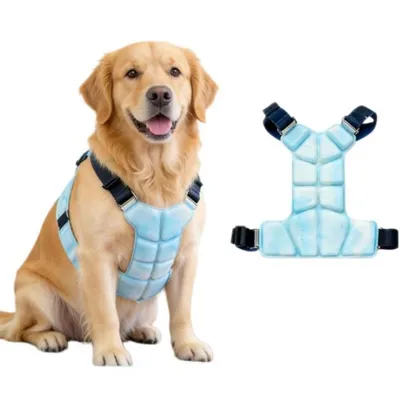 Produktbild von Kühlweste für Hunde, Wiederverwendbare mit Verstellbare Gurte, Sommer Hundeweste Kühlung, langanhaltender Kühlung, für mittelgroße Hunde, Blau, L+L