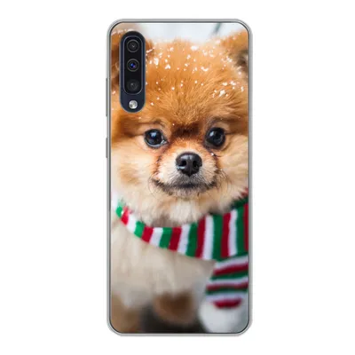 Produktbild von MuchoWow® Handyhülle Schutzhülle Hülle für Samsung Galaxy A30s Hund - Halstuch - Schnee Silikon Softcase Handy Hülle - Karteninhaber