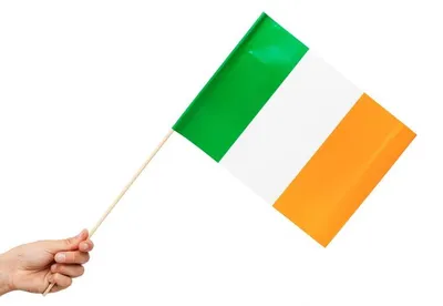 Produktbild von 10 Papier Fahnen Irland 20 x 30 cm Handfahnen