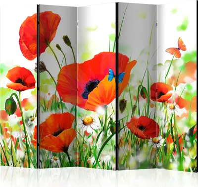 Produktbild von Akusticher Raumteiler Mohnblumen Foto Paravent 225x172 cm beidseitig auf Vlies-Leinwand bedruckt Akustikschaum Trennwand Spanische Wand Sichtschutz Home Office Blumen Wiese Natur b-C-0438-z-c